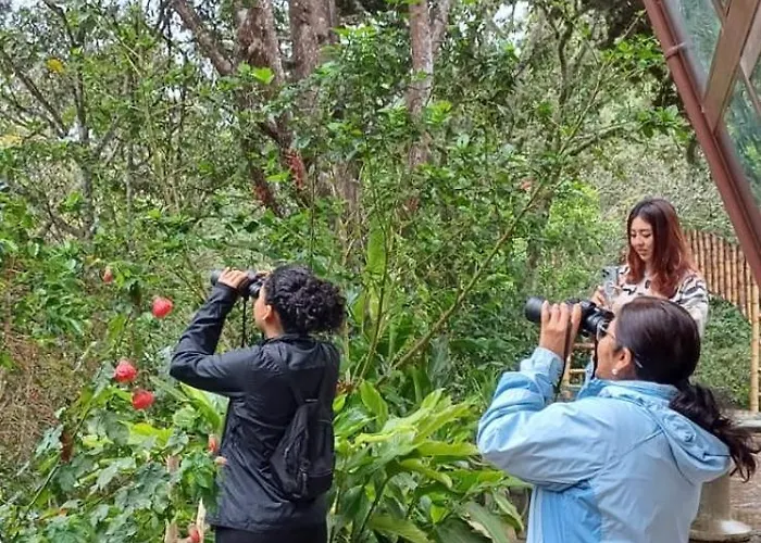Ecoterra Inka * Santa Ana (Cusco)